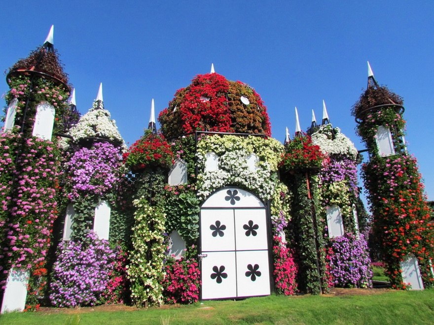     (Dubai Miracle Garden).  ? - 6