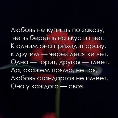 ...�������� ���� �����