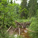 ���� �����, �����-���������, 69 ��� - ��������� 7 ���� 2019