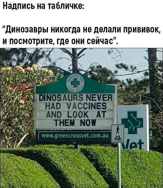 ���� ������ ���� ����� ����������