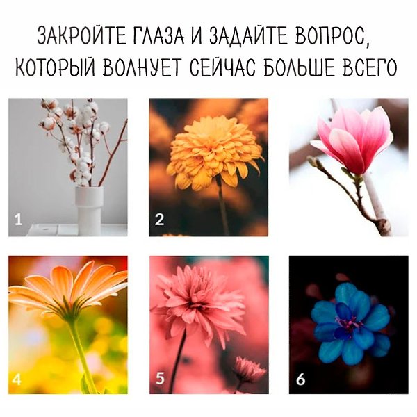 Проходите тест и ждите следующий пост, там будут ответы.#тест@psyxov