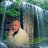 ���� Oleg, �������, 57 ��� - ��������� 22 ������ 2019