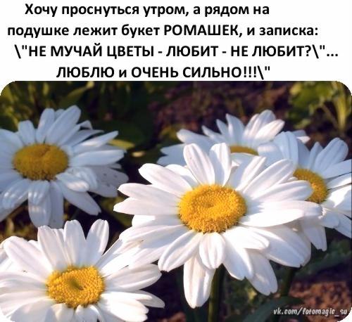   ,    . - 23  2019  18:19