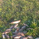 ���� ��������, ��������, 53 ���� - ��������� 25 ��� 2019 � ������ ���� ����������