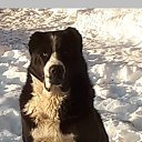 ��� ������.
��� ������? �� ������� ���� ����������