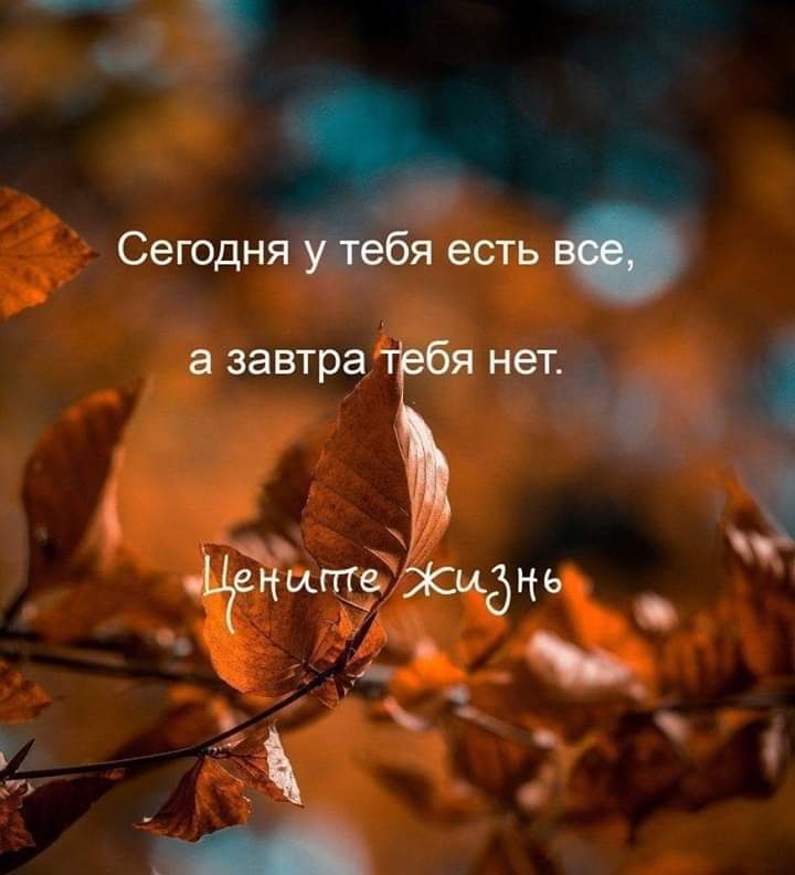  - 14  2019  22:26