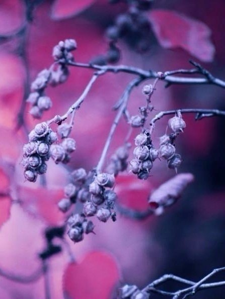 Art & Fun - 29  2019  03:46 - 6