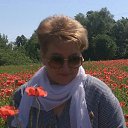 ���� �������, �����������, 64 ���� - ��������� 17 ���� 2019 � ������ ���� ����������