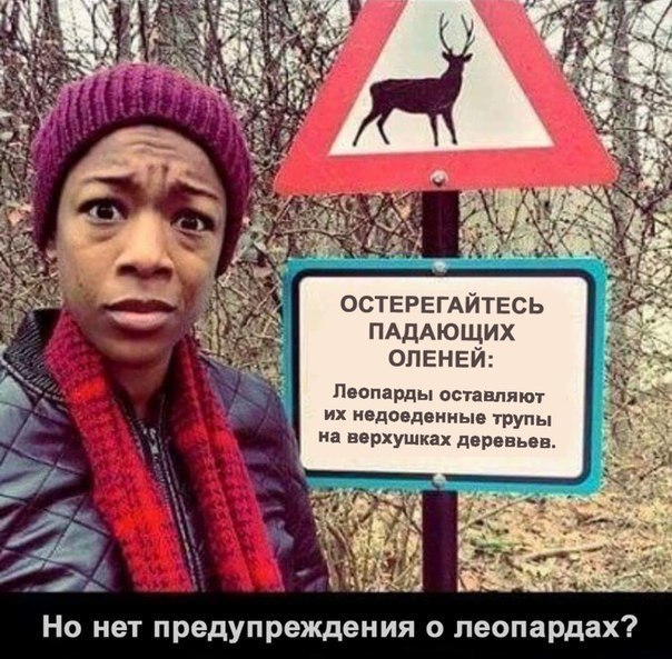 ***Victoria Viktorovna*** - 4  2019  09:26