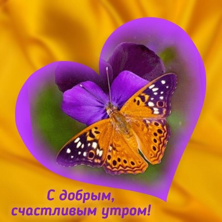   ,    . - 15  2019  22:03
