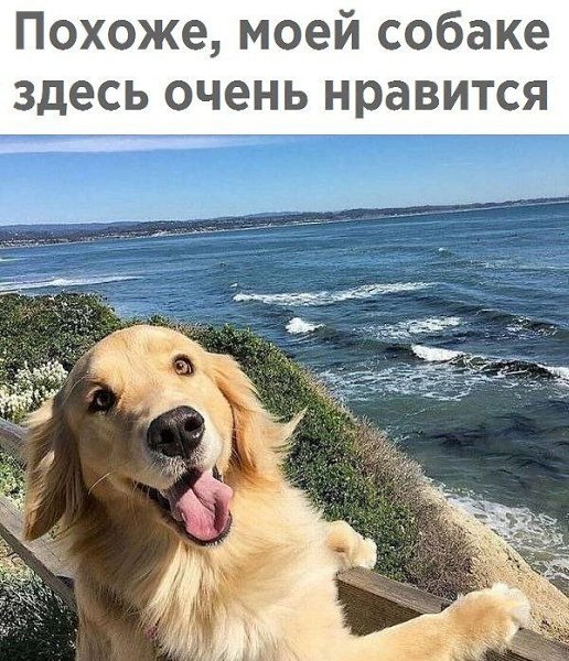  - 16  2019  18:08