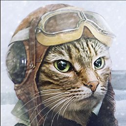 ���� ���������, ������, 44 ���� - ��������� 6 ������� 2019