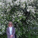 ���� �������, ������������, 60 ��� - ��������� 28 ��� 2019 � ������ ���� ����������