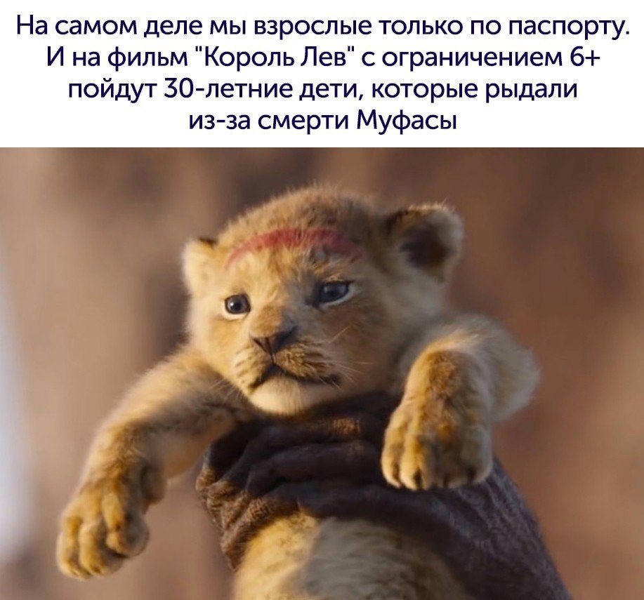  - 20  2019  00:49