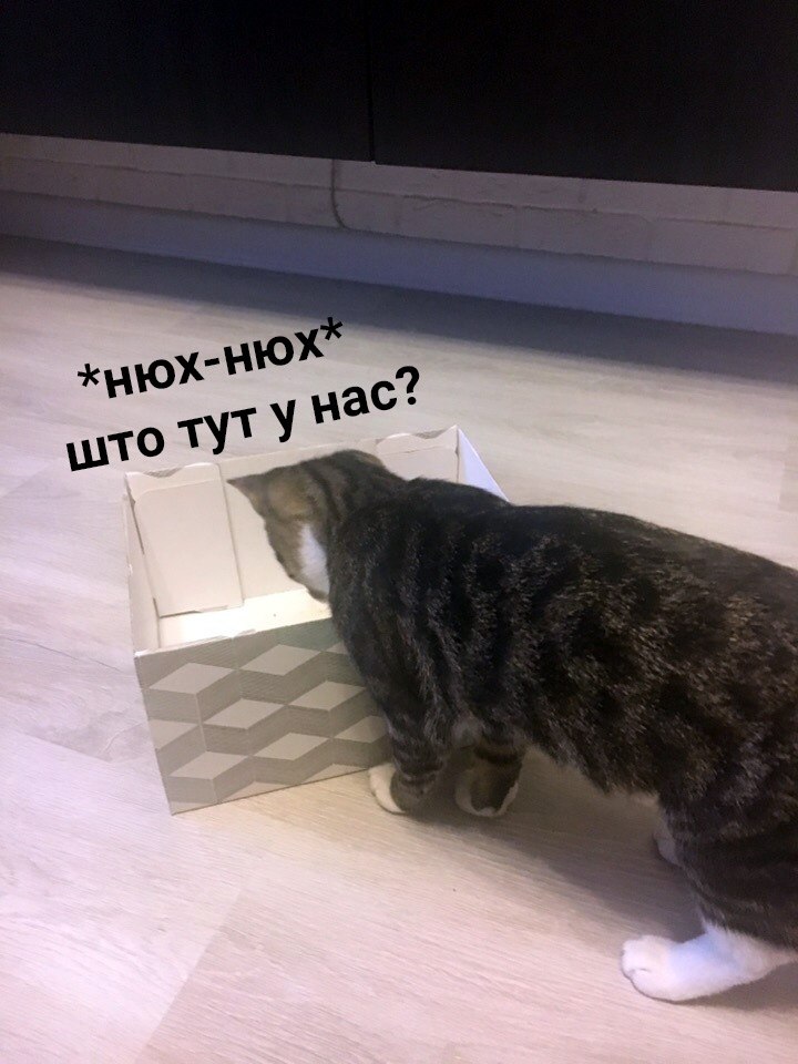    -   -    - 3