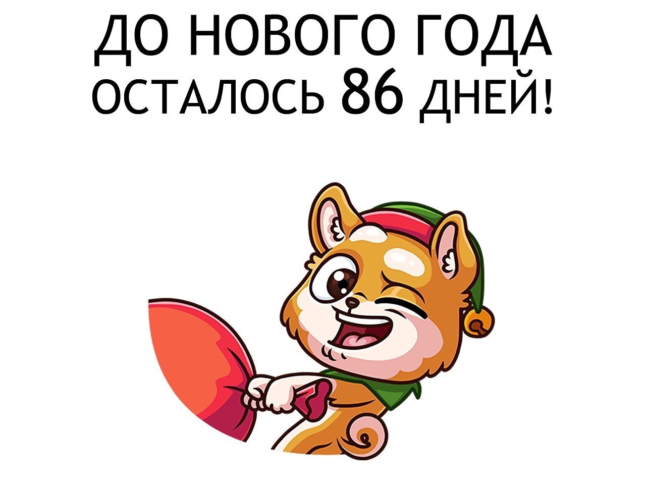   - 7  2019  02:00
