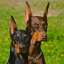 ���� Beksultax, ���������, 47 ��� - ��������� 28 ������ 2019 � ������ ���� ����������