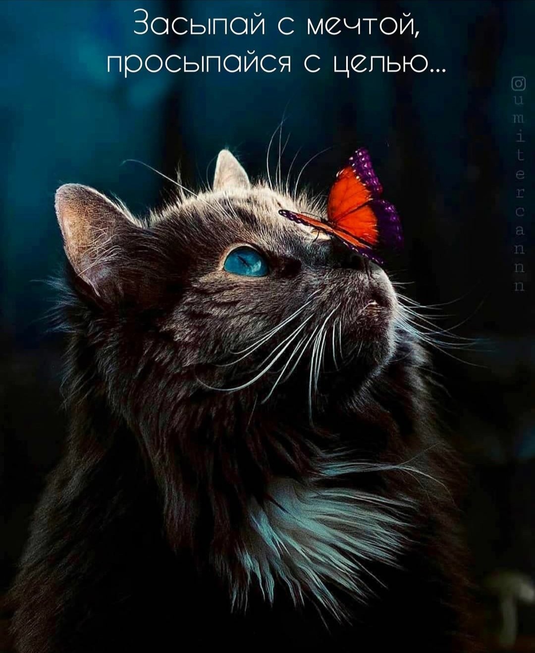 =Fox= - 21  2019  21:16
