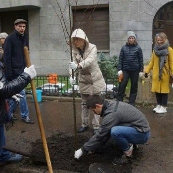 Участники проекта Plants for Friends высадили липы в центре Петербурга.Улице Некрасова вернули ...