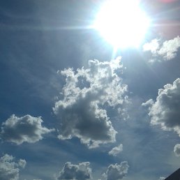 �����, ���������, 61 ���