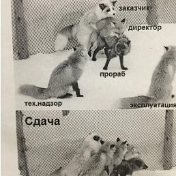 ������, �����-��������, 42 ����