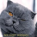  ,  -  12  2019    