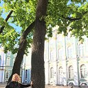  , , 53  -  29  2019   2019.