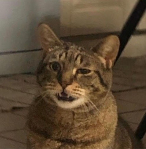 :   .  :     10     