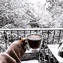 ���� �����, ����, 54 ���� - ��������� 7 ������ 2019 � ������ ���� ����������