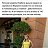 ...�������� ������� ������...
