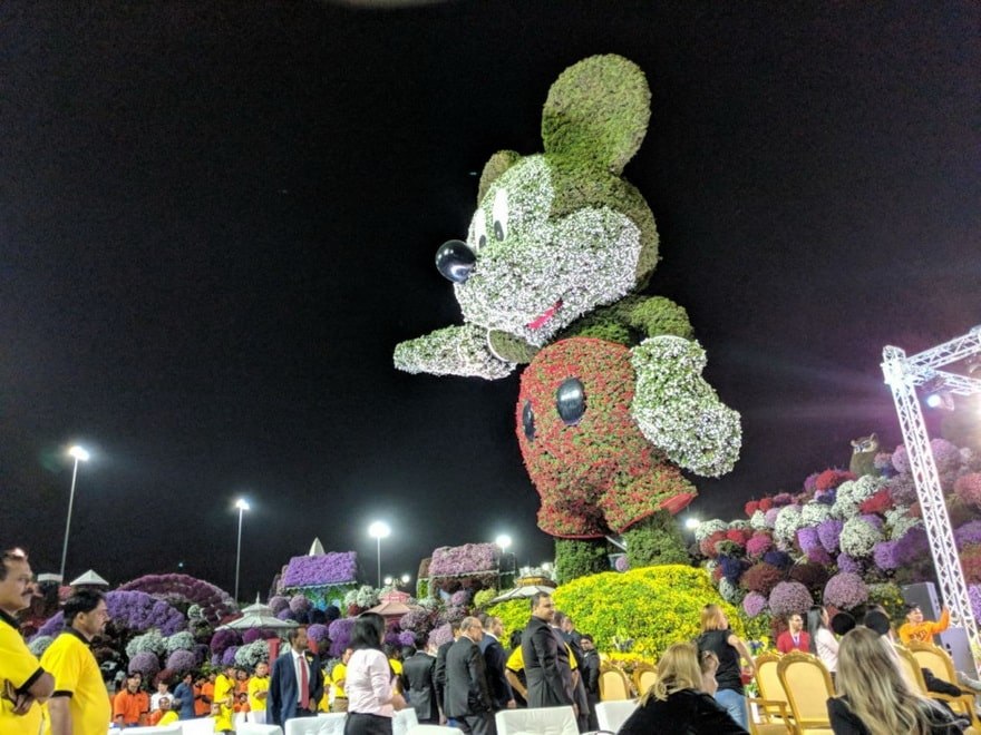     (Dubai Miracle Garden).  ? - 3