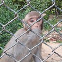 ���� Dinesh, ����, 53 ���� - ��������� 12 ������ 2019 � ������ ���� ����������