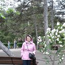 ����-�����-���� �� ������� ���� ����������