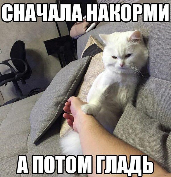 ***Victoria Viktorovna*** - 4  2019  09:27