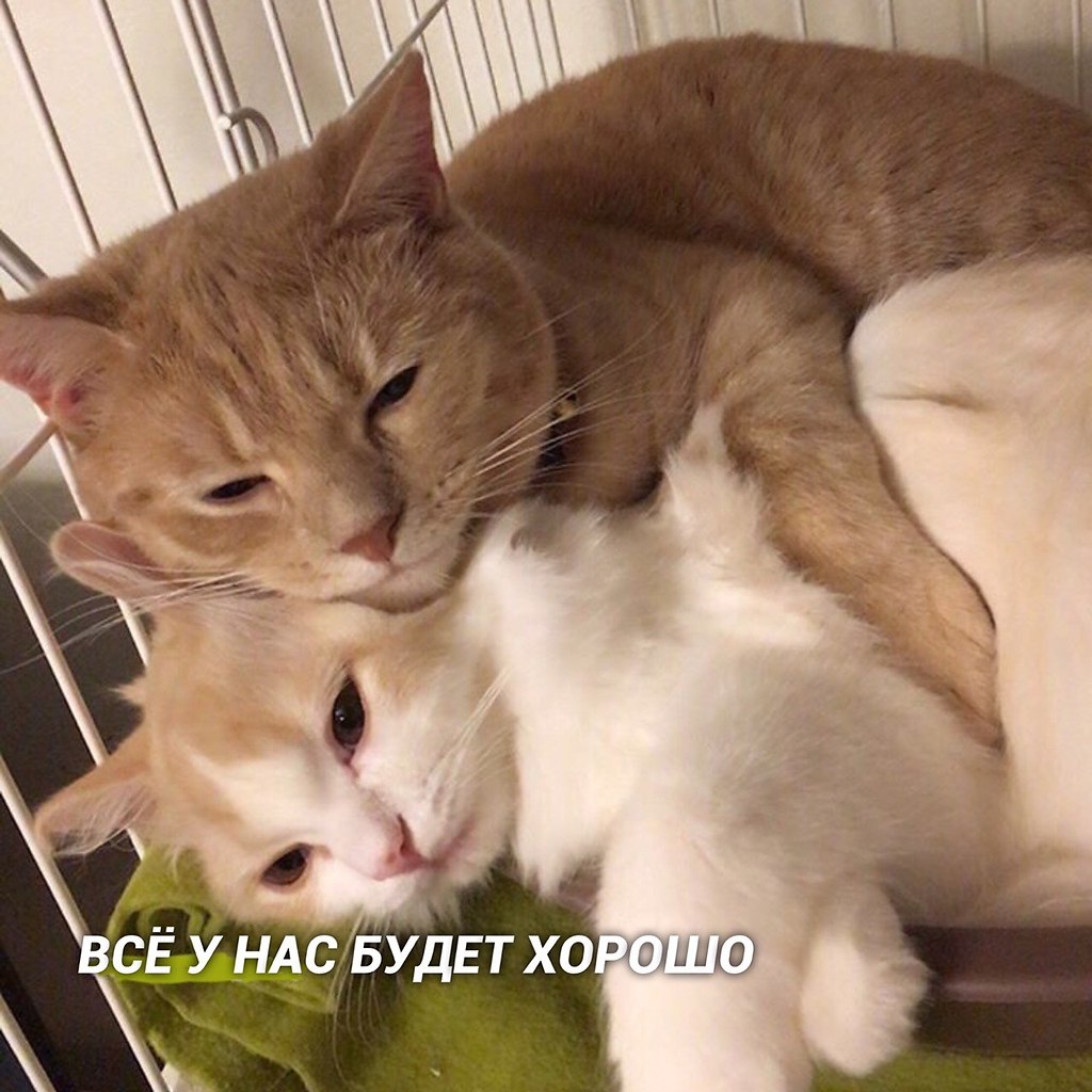     - 2