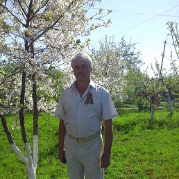 ���� ����, ��������� - ��������� 14 ������ 2019