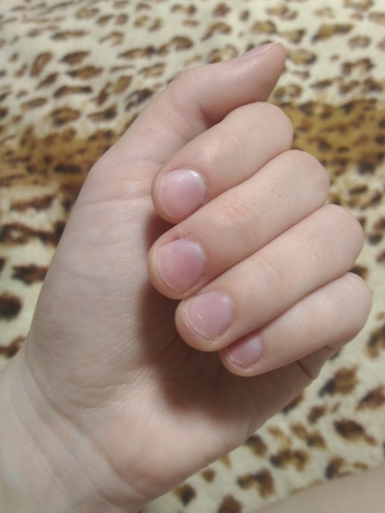 #@modnailru., ,     ,  (, ... - 2