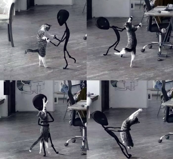     ,   