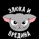 ���� Zl�, �������� - ��������� 7 ������ 2019 � ������ ���� ����������