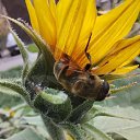  , , 50  -  4  2019   3.10.2019 