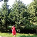  Katerina,  -  29  2019