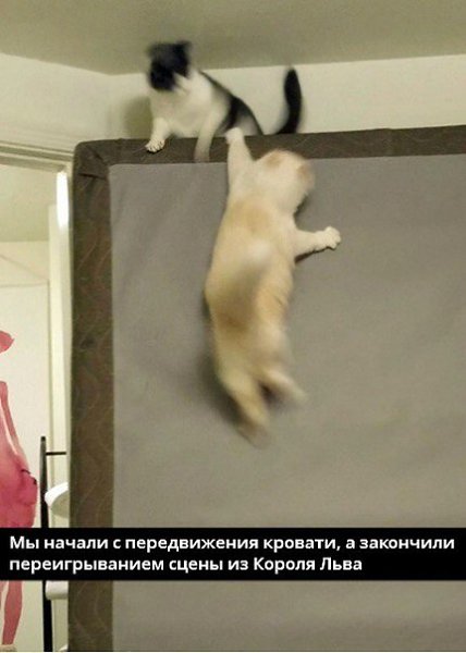    - 10  2019  03:52