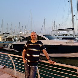 Willy, ����-����, 55 ���