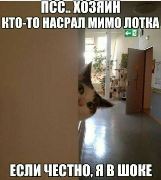    - 7  2019  19:13