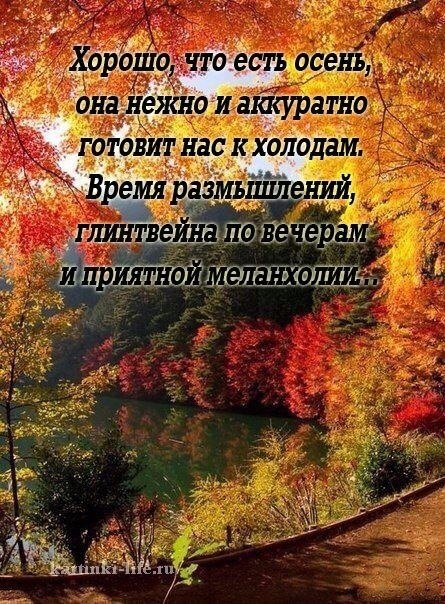   ,    . - 24  2019  17:22