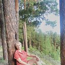 ���� �����������, ������� - ��������� 13 ���� 2019 � ������ ���� ����������