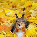 ���� �����, ������-��-����, 54 ���� - ��������� 26 ������� 2019 � ������ ������ ��������