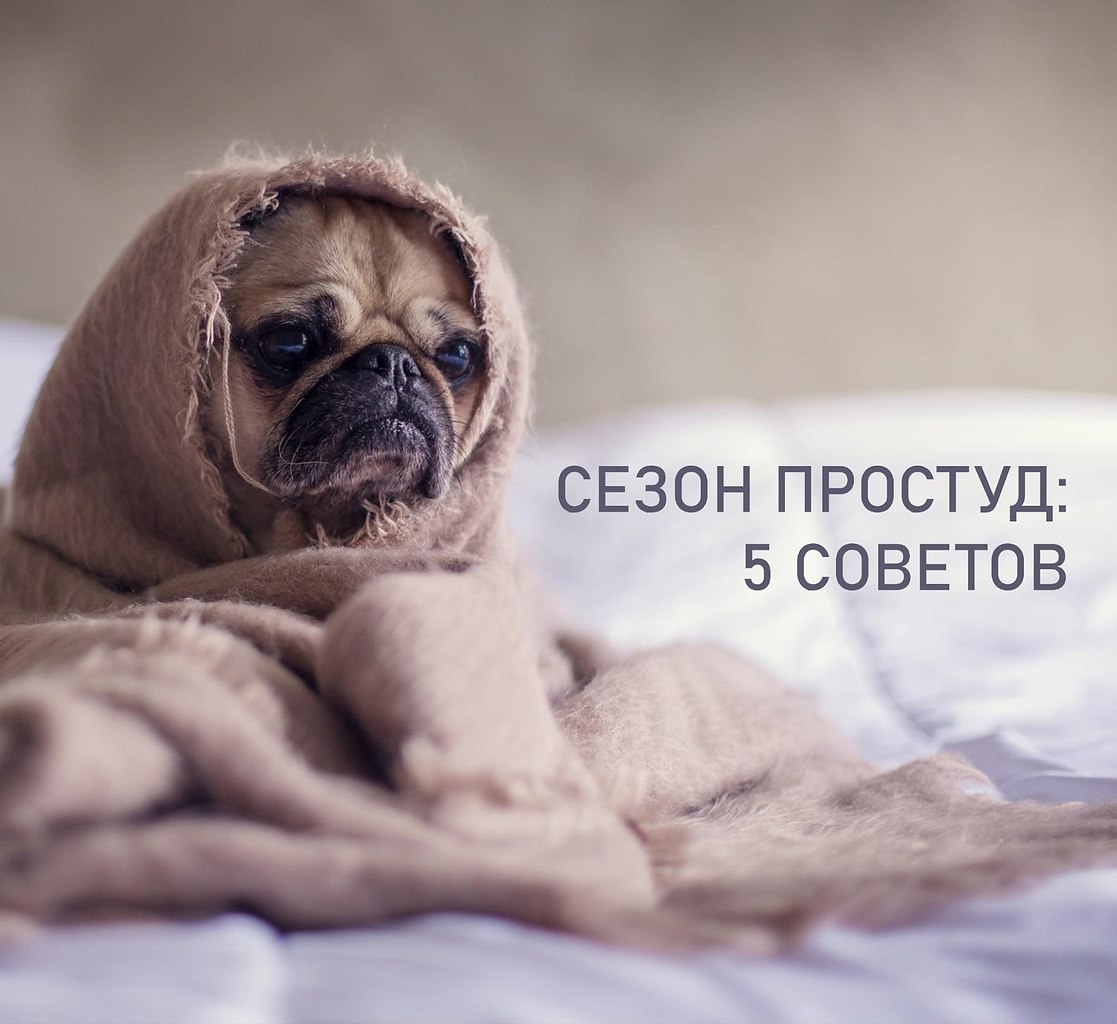  : 5 .    ,      . ...