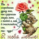 ���� �����, ������, 52 ���� - ��������� 8 ���� 2019 � ������ ���� ����������