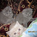 ���� ³����, ��������, 63 ���� - ��������� 26 ������� 2019 � ������ ���� �������Ż